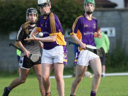 Under 17 Hurling League Division Four North   Kilmacud Crokes V  St.Peregrins