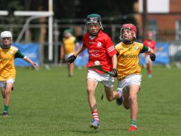 Beacon Hospital Hurling 7s - U12 Final