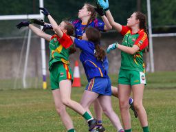 Kilmacud Crokes Beacon Hospital Ladies Football 7's Saturday July 30th - Lots More Photo's