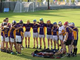 Junior F Hurling Championship versus O'Tooles