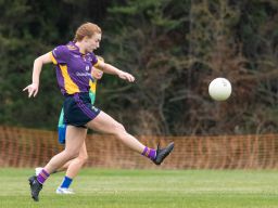 Ladies Football Go-Ahead Senior Championship Group A  Kilmacud Crokes V CLANNA GAEL/FONTENOY