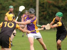 Junior C Hurling Championship Quarter Final vs Wild Geese