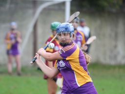 Camogie Go Ahead U18 Championship Semi Finals vs Naomh Maurs