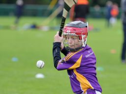 Festival of Hurling Photos (U12)