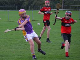 U12 Hurling League Div.11 vs. Trinity Gaels