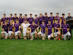 U17B HURLERS FOLLOW UP GROUP WIN WITH QUARTER FINAL WIN OVER RAHENY