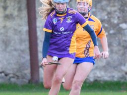 Camogie U21 Championship Division 3 Group B  Kilmacud Crokes V Na Fianna 
