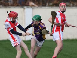 U15 Hurling Feile Div.6 Gp.A vs Cula