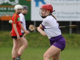 Leinster Club League Division 2 Group B vs St Martins