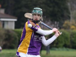 Minor Hurling League Div.4 vs Good Counsel Liffey Gaels