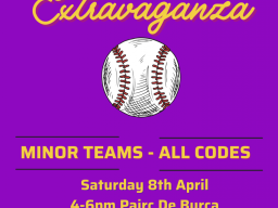 Mixed Rounders Extravaganza for all Minor Teams Saturday 8th April 5-7pm