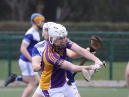 Adult Hurling League Division Four vs Kevins