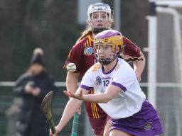 Camogie Senior 1 League vs ST OLIVER PLUNKETT