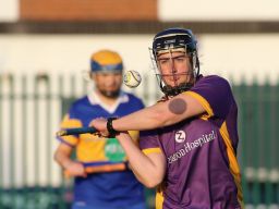 Camogie Senior 1 League vs Castleknock