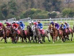 Hurling Section Corporate Race Day 2023
