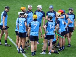 Crokes hurlers contribute to Dublin win over Wexford