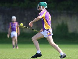 U14 Hurling D Phase One Gp.A vs Lucan Sarsfields B