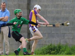 U15 Hurling Feile Div.8 vs Lucan Sarsfields