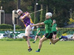 Adult Hurling League Division Four vs Lucan Sarsfileds
