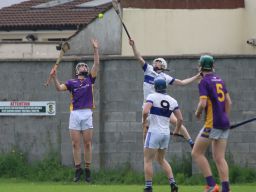 Minor Hurling League Division One vs St Vincents