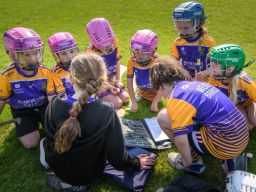 Week 2 of the Mini All Irelands - Camogie 