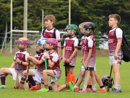 Photographs of Week 3 of the Mini All Irelands - Hurling