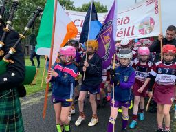 Kilmacud Crokes - Under 10 Festival of Camogie 
