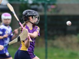 U12 Camogie Festival of Hurling 