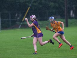 Dublin Minor Camogie Division 1 Kilmacud Crokes Versus Na Fianna 