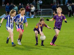 Half Time Under 9 game during Snr Ladies Championship Game - Kilmacud Crokes V Ballyboden