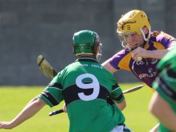 Hurling action