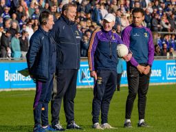 Management Team