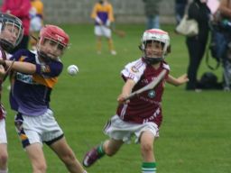 2012-09-15 KC Kilkenny Hurling Blitz 004