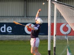 2013_0501_SHC_Brigids008w