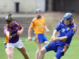 2013_07_21_71725AHL1_NaFiannaW
