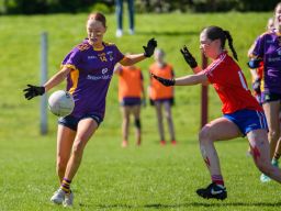 Feile