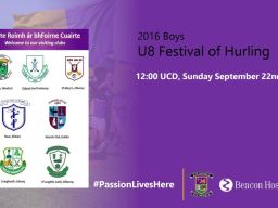 U8 Festival of Hurling UCD 12:00 Sunday 22