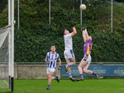 high catch