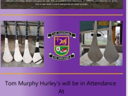 2012 Boys (U 12 Boys) Festival of Hurling UCD 11am Sunday 13