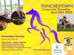 Punchestown 2025