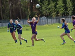 Feile