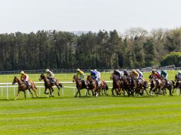Punchestown 2025