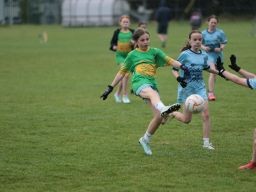 Mini All Ireland Ladies football
