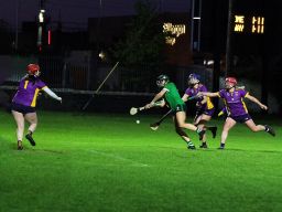 Action shot