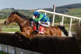 Punchestown 2025 - Racing