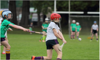 Mini All Ireland Camogie