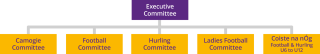 Kilmacud Crokes Club Structure