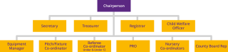 Ladies Football Committee Org Chart