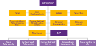 Coiste na nÓg