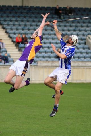 2013_11_10_IMG_5879w_Mnr_Final_BBSE_SD
